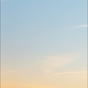 Meet your Posher, Layne